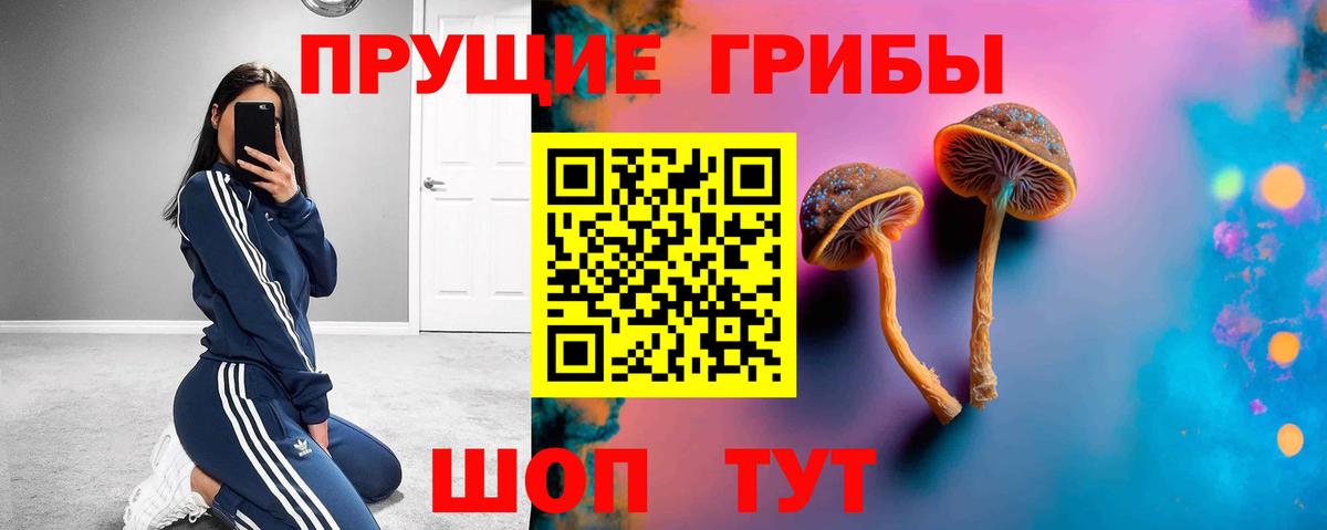 Скопин  Псилоцибиновые грибы ЛСД  Вход с VPN  закладки  Галлюциногенные грибы Psilocybe 